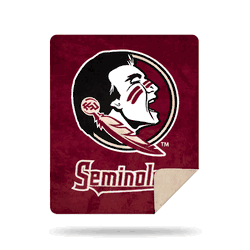 NCAA Florida State Seminoles Sliver Knit Throw