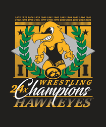 NCAA Iowa Pinnacle Wall Hanging 50x60 Inches