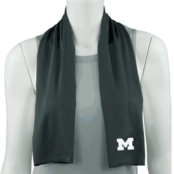 NCAA Michigan Wolverines Cooling Towel
