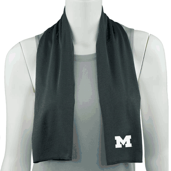 NCAA Michigan Wolverines Cooling Towel