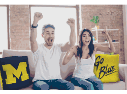 NCAA Michigan Wolverines Invert Pillow