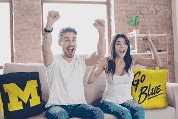 NCAA Michigan Wolverines Invert Pillow