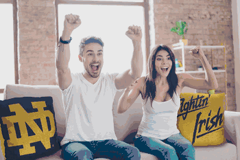 NCAA Notre Dame Fighting Irish Invert Pillow