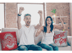 NCAA Ohio State Buckeyes Invert Pillow