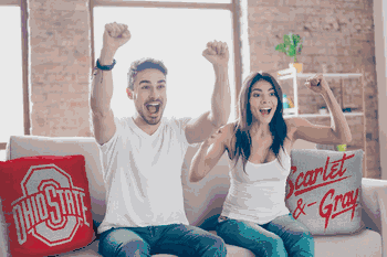 NCAA Ohio State Buckeyes Invert Pillow