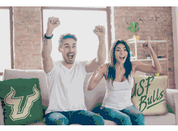 NCAA South Florida Invert Pillow