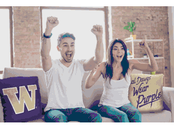 NCAA Washington Huskies Invert Pillow