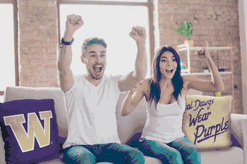 NCAA Washington Huskies Invert Pillow