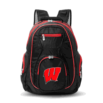 NCAA Wisconsin Badgers 19