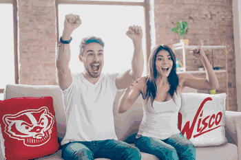 NCAA Wisconsin Badgers Invert Pillow