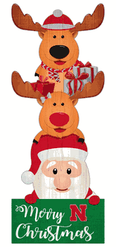 Nebraska Cornhuskers 31