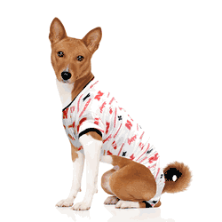 Nebraska Cornhuskers Pet PJs Extra Small