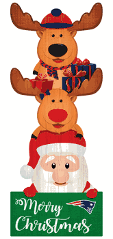 New England Patriots 31