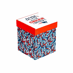 New England Patriots Glass 17oz Wine Stemless Boxed