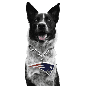 New England Patriots Pet Fan Chain