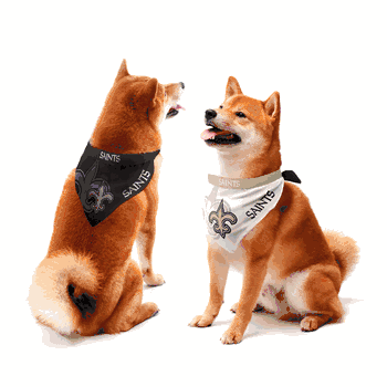 New Orleans Saints Home and Away Pet Bandana Set Small