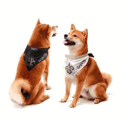 New Orleans Saints Home and Away Pet Bandana Set Small