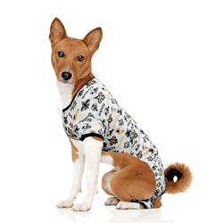 New Orleans Saints Pet PJs Medium