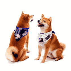New York Giants Home and Away Pet Bandana Set Large