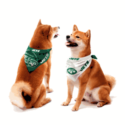 New York Jets Home and Away Pet Bandana Set Large