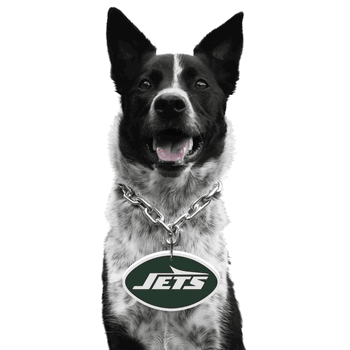 New York Jets Pet Fan Chain