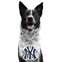 New York Yankees Pet Fan Chain