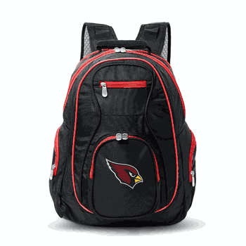 NFL Arizona Cardinals 19