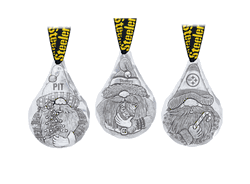 NFL Pittsburgh Steelers 3-Piece Gridiron Gnomes Ornament Set