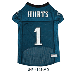 NFL Player Pet Jerseys