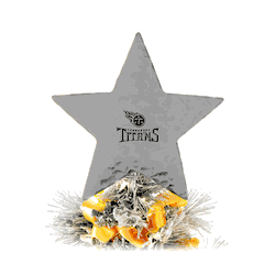 NFL Tennessee Titans Star Tree Topper