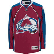 NHL 2007 RBK Premier Team Hockey Jersey
