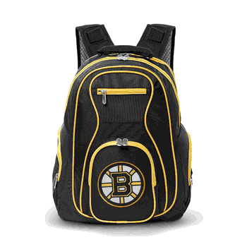 NHL Boston Bruins 19