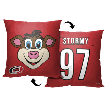 NHL Carolina Hurricanes Mascot Love Throw Pillow 18x18 Inches