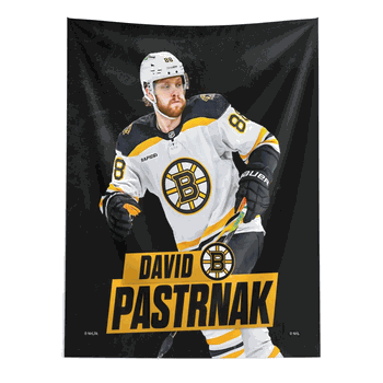 NHL David Pastrnak Bruins Wall Hanging