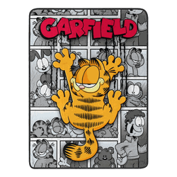Nickelodeon Garfield Cat Scratch Smile Micro Raschel Throw Blanket 46x60 Inches
