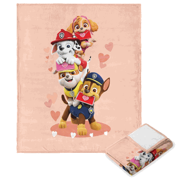 Nickelodeon Paw Patrol Friends For Life Silk Touch Throw 50x60 Inches