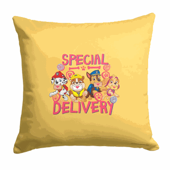 Nickelodeon Paw Patrol Special Delivery Throw Pillow 18x18 Inches