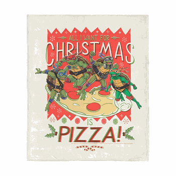Nickelodeon Teenage Mutant Ninja Turtles Pizza For Christmas Silk Touch Throw Blanket 50x60 inches