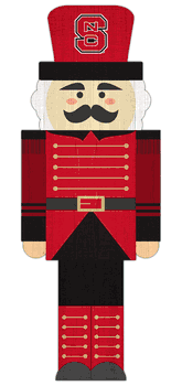 North Carolina State Wolfpack 31