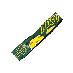 North Dakota State Bison FanBand