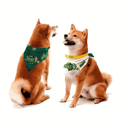 North Dakota State Bison Home and Away Pet Bandana Set Large