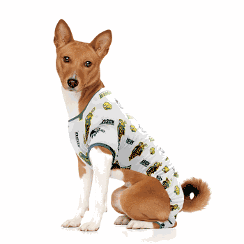 North Dakota State Bison Pet PJs XL