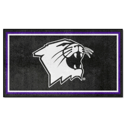 Northwestern Wildcats 3ft. x 5ft. Plush Area Rug