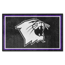 Northwestern Wildcats 4ft. x 6ft. Plush Area Rug