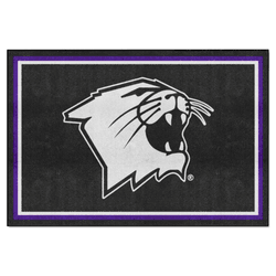 Northwestern Wildcats 5ft. x 8 ft. Plush Area Rug