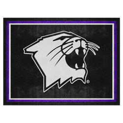 Northwestern Wildcats 8ft. x 10 ft. Plush Area Rug