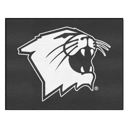 Northwestern Wildcats All-Star Rug - 34 in. x 42.5 in.