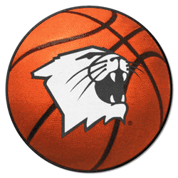 Northwestern Wildcats Basketball Rug - 27in. Diameter