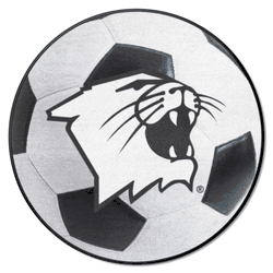 Northwestern Wildcats Soccer Ball Rug - 27in. Diameter