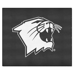 Northwestern Wildcats Tailgater Rug - 5ft. x 6ft.